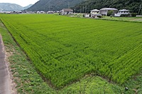 519【土地】神崎郡市川町谷