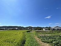 244【土地】姫路市豊富町御蔭