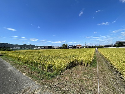 244【土地】姫路市豊富町御蔭