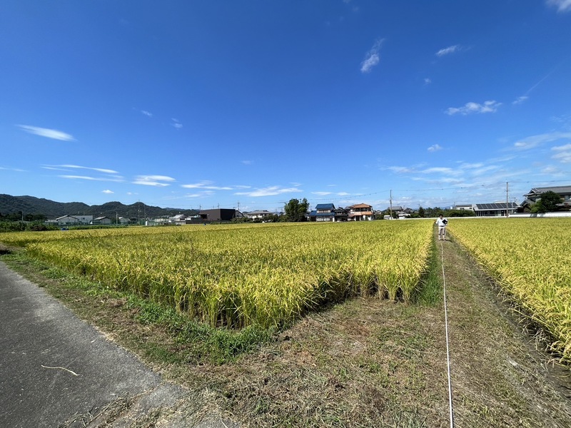 244【土地】姫路市豊富町御蔭