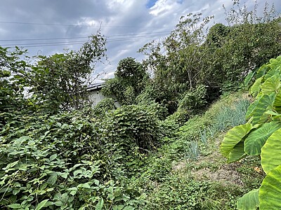 254【土地】西脇市和布町