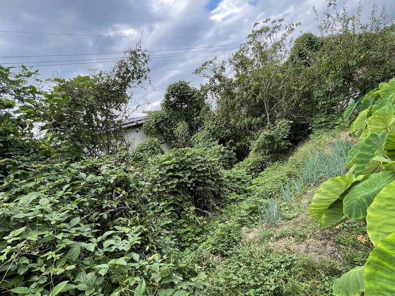 254【土地】西脇市和布町