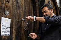 Puro Piemonte Chardonnay