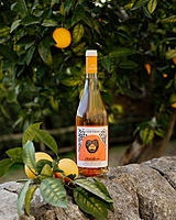ORANGE-utan